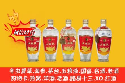 安康市紫阳回收老五粮液